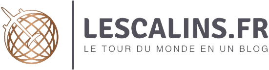 logo lescalins.fr