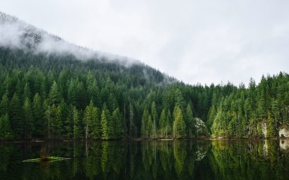 Voyage au Canada