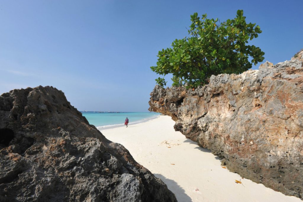 Découvrez le Paradis Tropical à Zanzibar