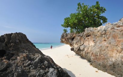 Découvrez le Paradis Tropical à Zanzibar