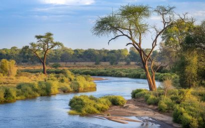 À la découverte des merveilles naturelles du Botswana