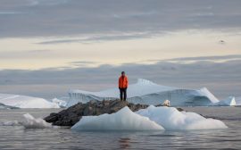 Aventure polaire en Antarctique : à la découverte d’une nature unique et sauvage