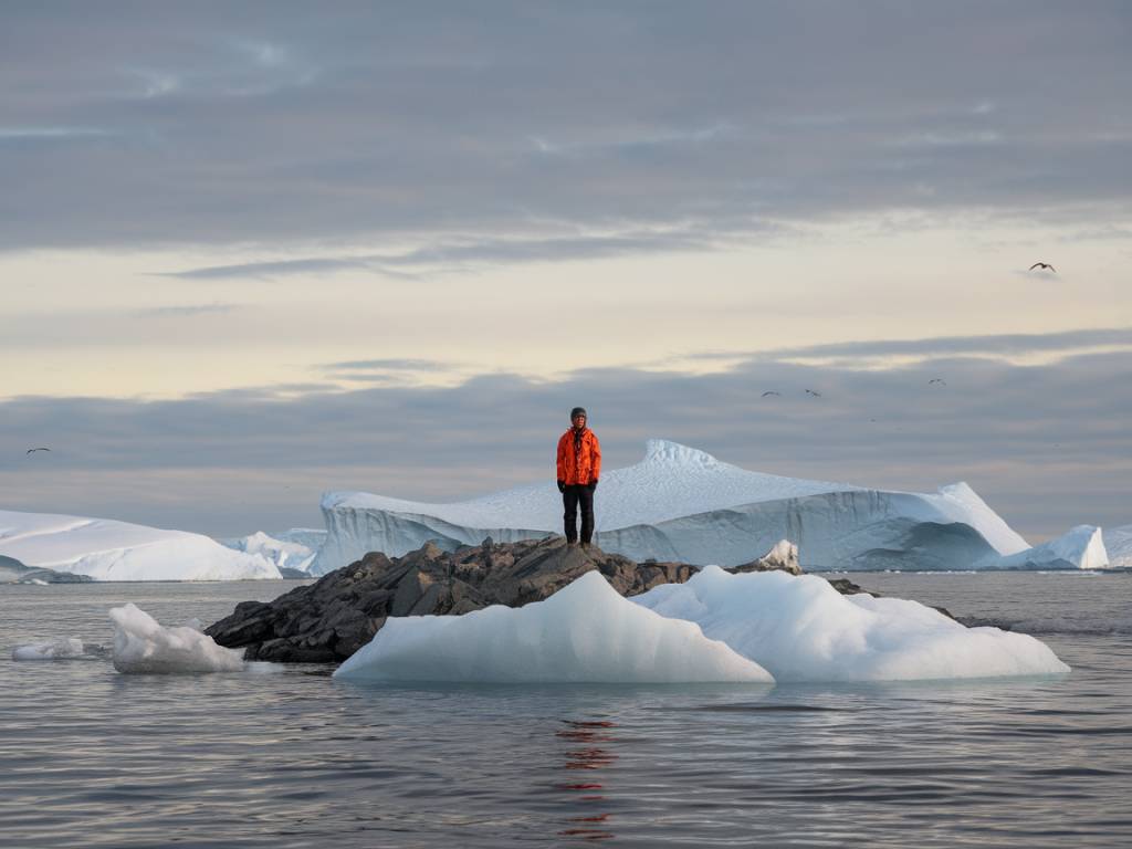 Aventure polaire en Antarctique : à la découverte d’une nature unique et sauvage