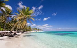 Agence de voyage république dominicaine : nos conseils pour un séjour réussi