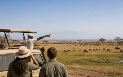 Agence de voyage Kenya : comment choisir la meilleure pour un safari inoubliable