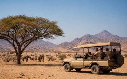 Agence de voyage Namibie pour un safari inoubliable
