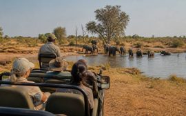Agence de voyage zimbabwe : comment choisir la meilleure offre pour découvrir le pays