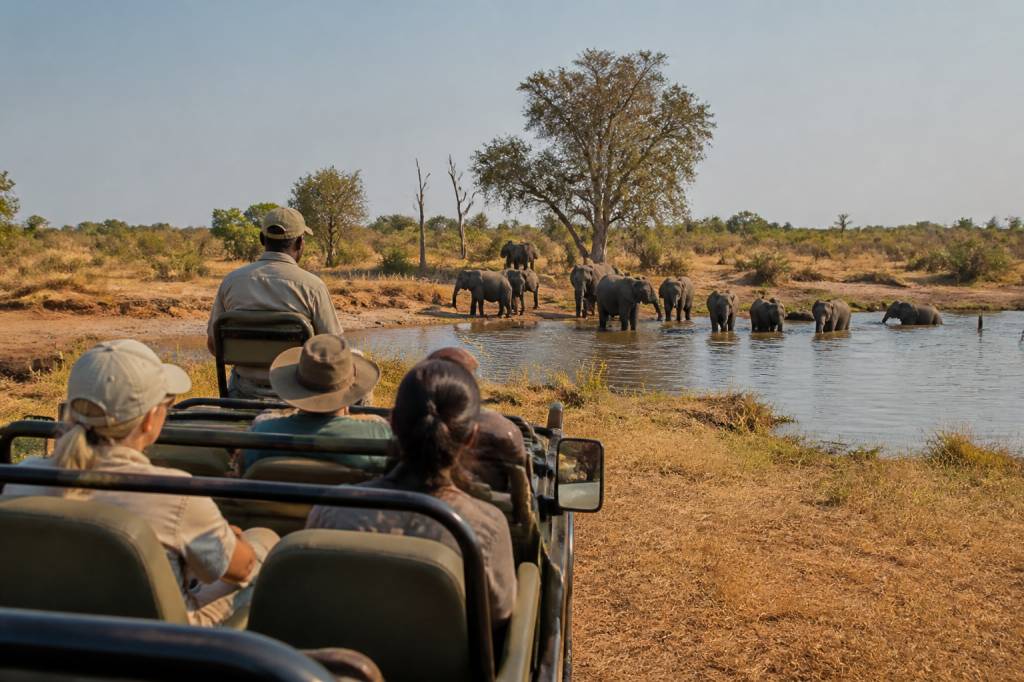 Agence de voyage zimbabwe : comment choisir la meilleure offre pour découvrir le pays