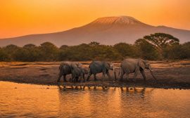 Afrique ou aller : les meilleures destinations pour un voyage inoubliable