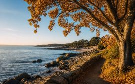 France vacances toussaint : les meilleures destinations où partir en automne
