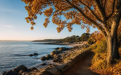 France vacances toussaint : les meilleures destinations où partir en automne