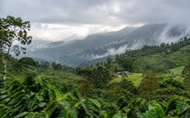 Saison des pluies en Colombie : quand partir et à quoi s’attendre ?