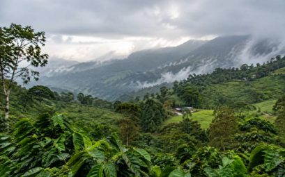 Saison des pluies en Colombie : quand partir et à quoi s’attendre ?