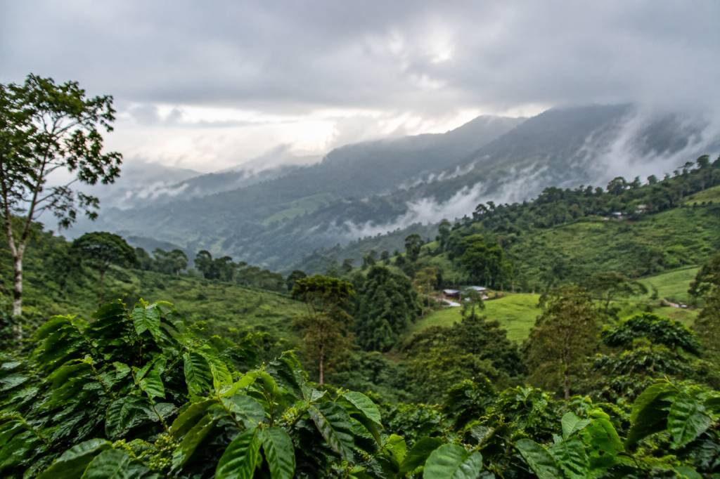 Saison des pluies en Colombie : quand partir et à quoi s’attendre ?